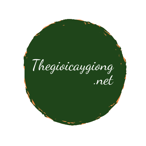 logo500